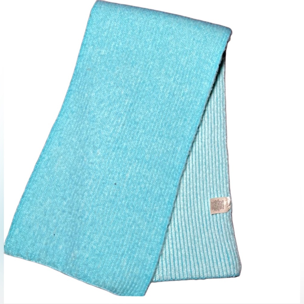 FRANCESCA’S two tone blue knit extra long scarf